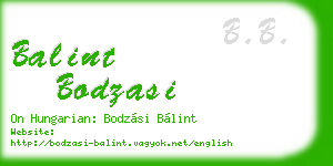 balint bodzasi business card