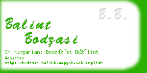 balint bodzasi business card